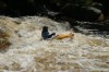 Thumbs/tn_Img_5433.jpg