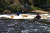Thumbs/tn_Img_5445.jpg