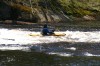 Thumbs/tn_Img_5446.jpg