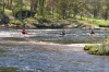 Thumbs/tn_Img_5454.jpg