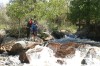 Thumbs/tn_Img_5462.jpg