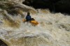 Thumbs/tn_Img_5483.jpg
