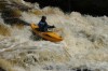 Thumbs/tn_Img_5484.jpg