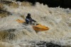 Thumbs/tn_Img_5485.jpg