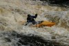 Thumbs/tn_Img_5487.jpg