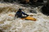 Thumbs/tn_Img_5489.jpg