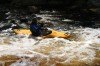 Thumbs/tn_Img_5490.jpg