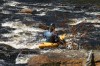 Thumbs/tn_Img_5501.jpg