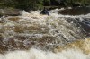 Thumbs/tn_Img_5540.jpg