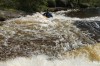 Thumbs/tn_Img_5541.jpg