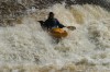 Thumbs/tn_Img_5545.jpg