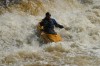 Thumbs/tn_Img_5546.jpg