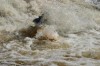 Thumbs/tn_Img_5548.jpg