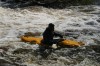 Thumbs/tn_Img_5549.jpg