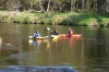 Thumbs/tn_Img_5551.jpg