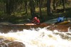 Thumbs/tn_Img_5553.jpg