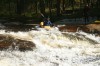 Thumbs/tn_Img_5566.jpg