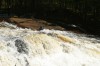 Thumbs/tn_Img_5567.jpg