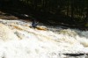 Thumbs/tn_Img_5568.jpg