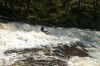 Thumbs/tn_Img_5569.jpg
