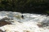 Thumbs/tn_Img_5571.jpg
