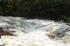 Thumbs/tn_Img_5572.jpg