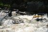 Thumbs/tn_Img_5575.jpg