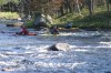Thumbs/tn_Img_5592.jpg