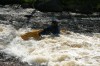 Thumbs/tn_Img_5629.jpg