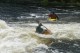 Thumbs/tn_Img_8558.jpg