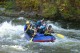 Thumbs/tn_Img_9882.jpg