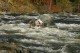Thumbs/tn_Img_9887.jpg