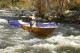Thumbs/tn_Img_9888.jpg