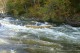 Thumbs/tn_Img_9891.jpg
