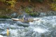 Thumbs/tn_Img_9892.jpg