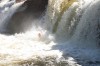 Thumbs/tn_Img_1358.jpg