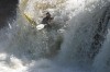 Thumbs/tn_Img_1549.jpg