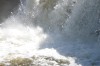 Thumbs/tn_Img_1550.jpg