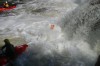 Thumbs/tn_Img_1770.jpg