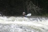 Thumbs/tn_Img_4594.jpg
