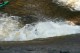 Thumbs/tn_Img_1171.jpg